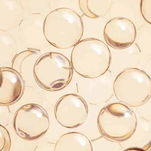 Ceramides 1,2,3,4 & 6